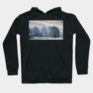 Elterwater Woodland Frost Hoodie